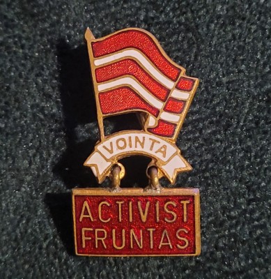 Insigna Activist Fruntas foto