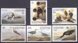 DB1 Fauna Pasari 1985 Lesotho Audubon 6 v. MNH