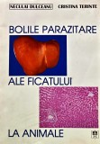 Cumpara ieftin Bolile parazitare ale ficatului la animale - 2003 - Cristina Terinte (P135)