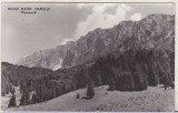 bnk cp Muntii Piatra Craiului - Westwandt - circulata