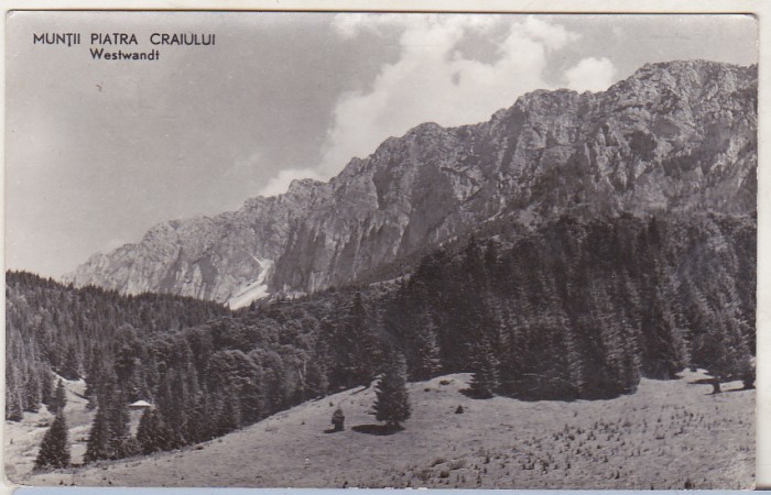bnk cp Muntii Piatra Craiului - Westwandt - circulata