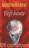 Elegii duineze, Fundatia culturala Ideea Europeana