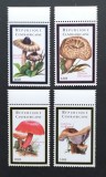 R.CENTRAFRICA -CIUPERCI- SERIE 4 V.-MNH** - R CAF 173