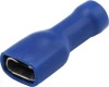 Papuci electrici izolati, mama, albastru Plat, 6,3x0,8mm, lungime 21,3 mm, crimpat, 1542, 10 terminale la blister Carpoint AutoDrive ProParts