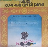 Vinil LP I-AUZI CUM MAI CANTA TARA - Colectiv Electrecord 1976 Muzica Populara Maria Ciobanu, Benone Sinulescu, Ion Dolanescu