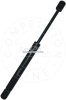 Amortizor portbagaj VW BORA (1J2) (1998 - 2005) AIC 53887