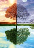 Puzzle 500 piese - Copacul anotimpurilor | Schmidt