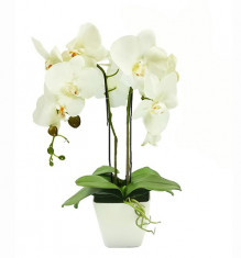 Aranjament Floral Orhidee Artificiala in Ghiveci cu 2 Tulpini, Aspect Natural, Culoare Alb foto