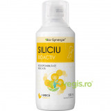 Siliciu Bioactiv cu Extract de Urzica 500ml