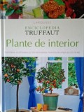 Plante de interior Enciclopedia Truffaut