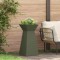 vidaXL Vază pe pilon 2 pcs Oliv 35 x 35 x 73 cm Oțel 873845