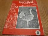 VINATORUL SI PESCARUL SPORTIV - Anul XIII, Nr.5 - A.G.V.P.S. 1960, 25 p., Alta editura