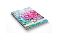 Caiet dictando cu spira A5,100 file,model Economic