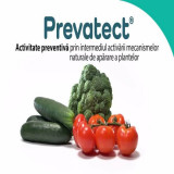 Prevatect 400 ml, fungicid certificat Bio/ ecologic, Ascenza, putregai cenusiu (vita de vie, fructe, legume), inducator de aparare (cartofi, cereale p