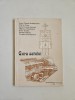 Gura Satului. Monografie Ioan Viorel Boldureanu - Timisoara, Ed. Mirton 1996, Istorie, 136 pagini