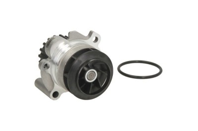 Pompa apa AUDI A3 (8P1) (2003 - 2012) THERMOTEC D1W054TT foto