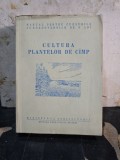 Cultura plantelor de c&acirc;mp - Ministerul Agriculturii