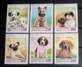 Benin 1998 c&acirc;ini de rasă, rase de c&acirc;ini animale serie 6v nestampilat