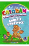 Coloram desene mari pentru cei mici: Animale domestice