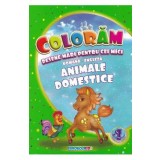 Coloram desene mari pentru cei mici: Animale domestice