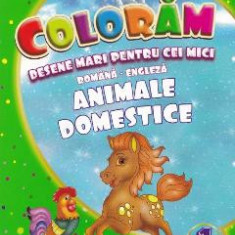 Coloram desene mari pentru cei mici: Animale domestice