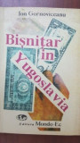 Bisnitar in Yugoslavia Ion Gornoviceanu