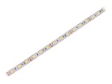 Bandă LED alb rece 5050 12V 60 LED/m 10mm PCB alb IP20