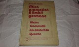 EMILIA SAVIN - MICA GRAMATICA A LIMBII GERMANE