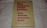 EMILIA SAVIN - MICA GRAMATICA A LIMBII GERMANE