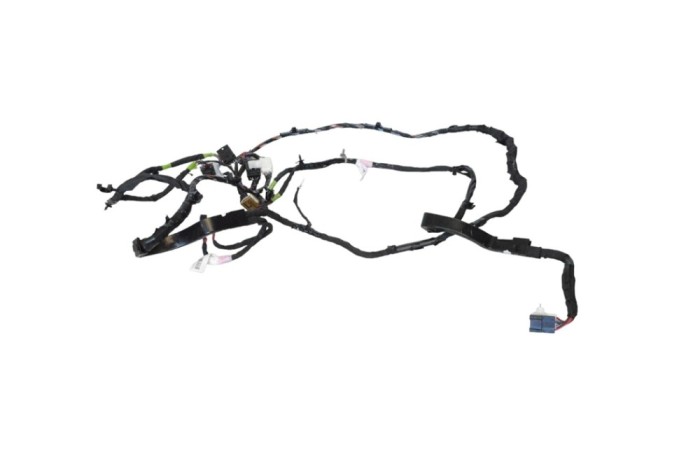 Cablaj ușă dreapta spate TESLA MODEL X 2019 OEM: P1063406-00-G 25251309