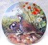 FARFURIE DECORATIVA PORTELAN ENGLEZESC ROYAL GRAFTON FINE BONE CHINA BRADEX DECOR VANATOARE POTARNICHI - 21.5 CM