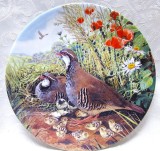 FARFURIE DECORATIVA PORTELAN ENGLEZESC ROYAL GRAFTON FINE BONE CHINA BRADEX DECOR VANATOARE POTARNICHI - 21.5 CM