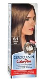 VOPSEA PAR NR6.1 CASTANIU AURIU
