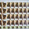 ROMANIA 2020 URSI - Set 4 coli mari de 32 timbre cu tabsuri si Tete-Beche MNH**