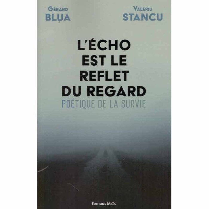 Valeriu Stancu, Gerard Blua - L&#039;echo est le reflet du regard -