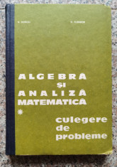 Algebra Si Analiza Matematica Culegere De Probleme - N.donciu D.flondor ,552803 foto