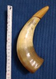 Corn plin 20 cm. cu dop din lemn