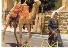 AD 1112 C. P. VECHE -IERUSALEM, OLD CITY STREET SCENE -IERUSALIM -ISRAEL