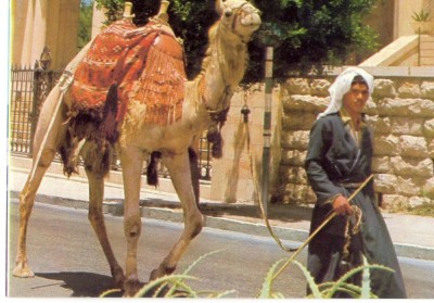 AD 1112 C. P. VECHE -IERUSALEM, OLD CITY STREET SCENE -IERUSALIM -ISRAEL foto