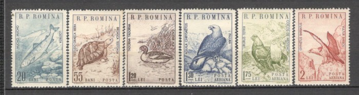 Romania.1960 Animale XR.383