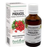 Extract din Mlădițe de Păducel 50ml - Tonic Cardiac Natural, Plantextrakt