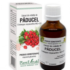 Extract din Mlădițe de Păducel 50ml - Tonic Cardiac Natural