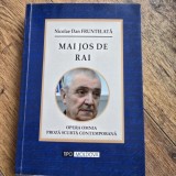 Mai jos de Rai - Nicolae Dan Fruntelata