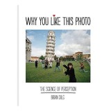 Why You Like This Photo