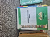 Limba și literatura rom&acirc;nă auxiliar cls a VIII-a vintage