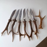 6 cuțite cu m&acirc;ner din corn de caprior