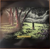 Strange Trails - Vinyl | Lord Huron