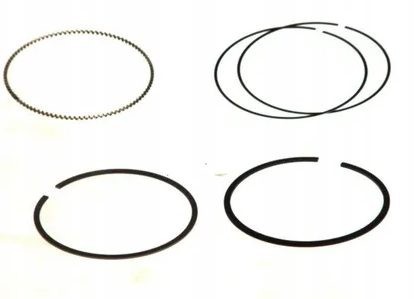 Mahle Set segmenti piston