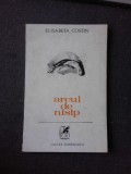ARCUL DE NISIP, VERSURI - ELISABETA COSTIN (CU DEDICATIA AUTOAREI PENTRU PETRU VINTILA)