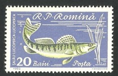 EROARE -- ROMANIA -1960 --20 Baini --- MNH foto